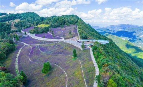 巴东野三关高山森林花海醉游人 野三关镇 巴东县 高山 游人