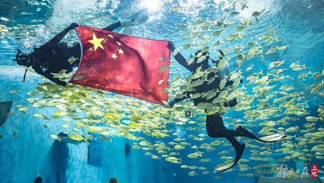 在海洋池底升起五星红旗上海海昌海洋公园国庆游园创意多