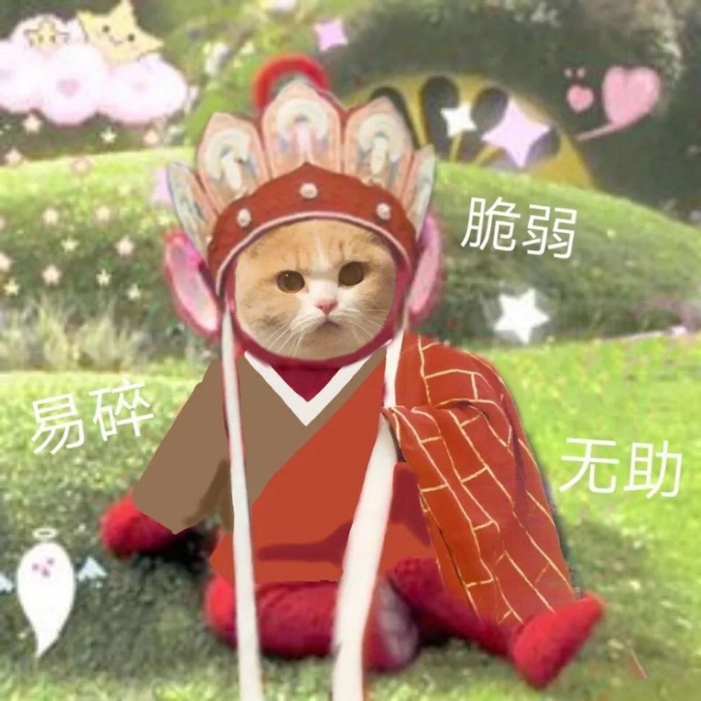 今天深圳人的朋友圈一半在海边一半在婚礼