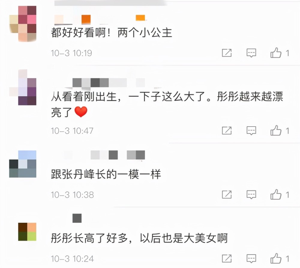 洪欣带女儿参加活动，7岁彤彤越来越像张丹峰，淑女气质不输妈妈