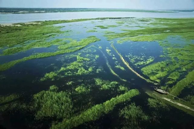 共同保护孟州市黄河湿地国家级自然保护区