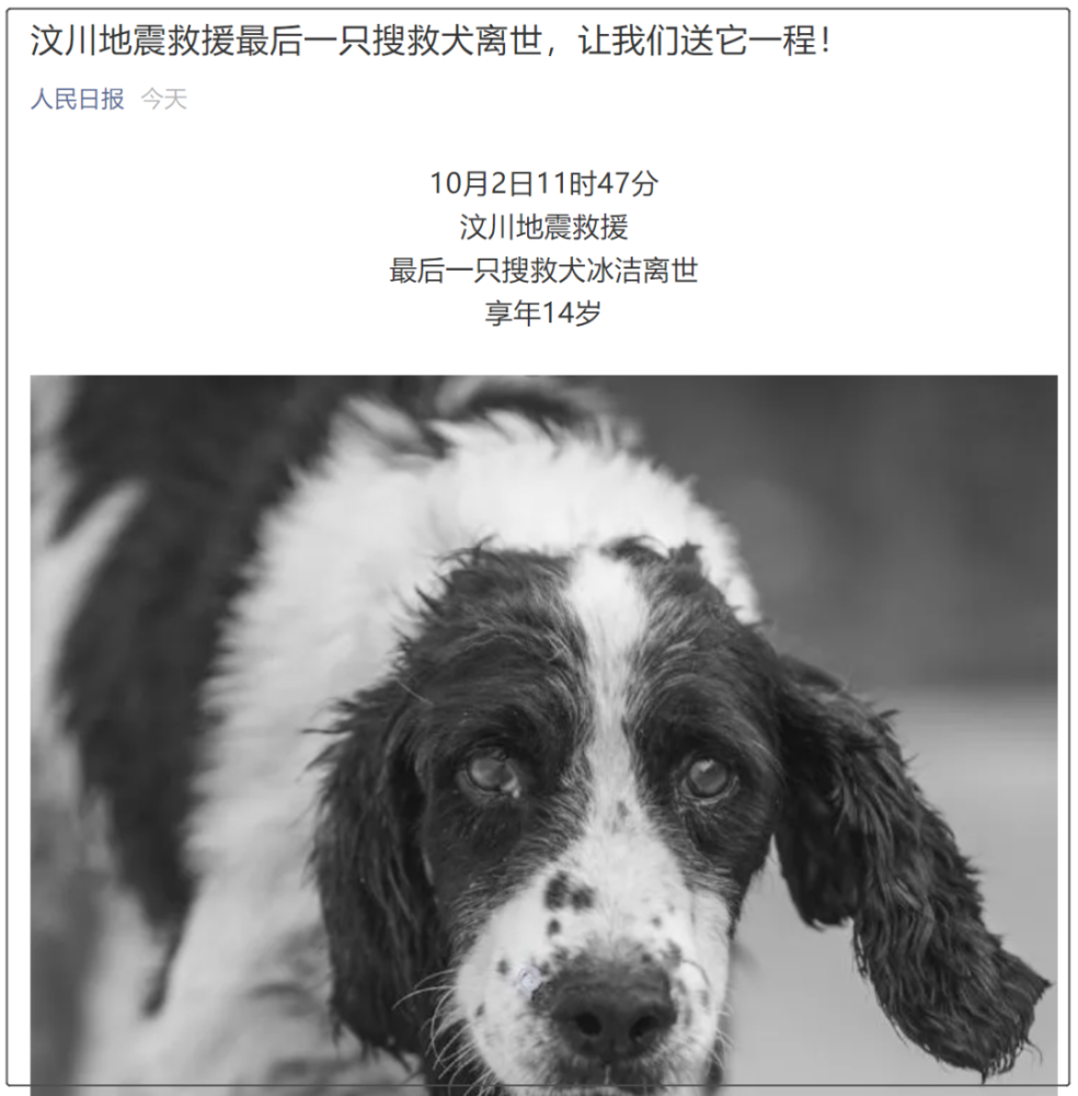 勇救13人!汶川地震救援最後一隻搜救犬離世,讓我們送它一程!_騰訊新聞