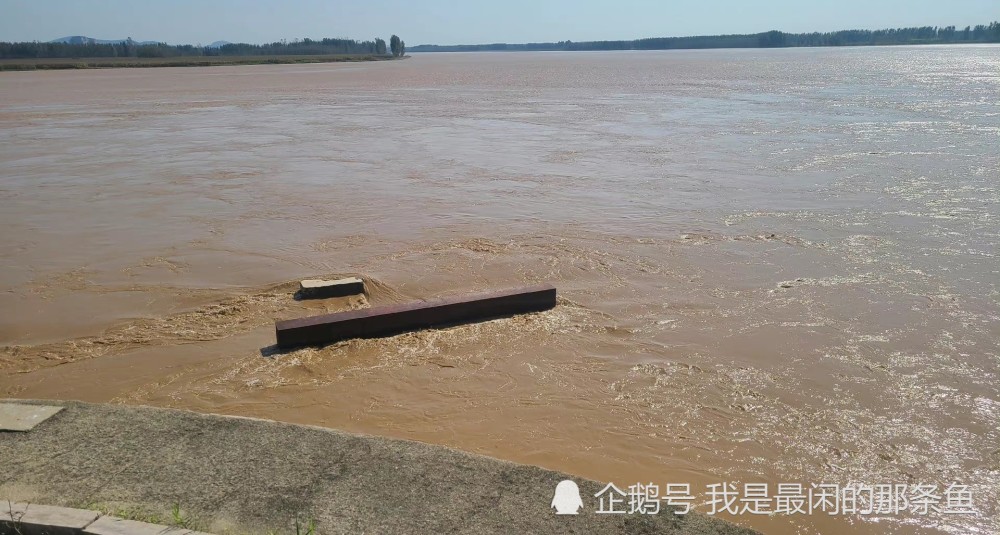 当前山东滨州正经历黄河,漳卫新河大流量洪水过程