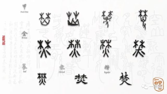 汉字趣谈:焚(393)|汉字|甲骨文