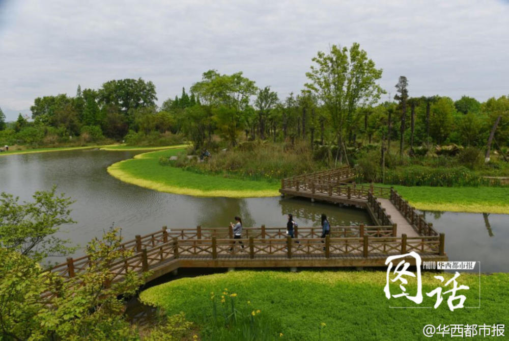 成都溼地公園又上新了!國慶快來打卡丨祖國頌·看我72變