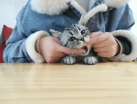 641