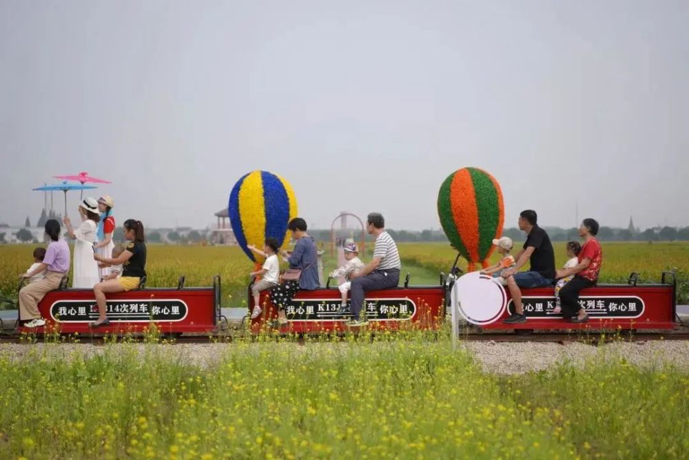 假期想来一场田园风光游锡山满足你