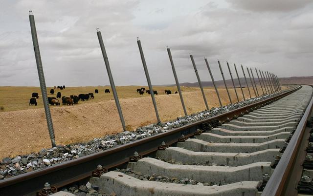 青藏铁路旁1.5万余根金属管,到底有何作用?看完感叹祖国的伟大