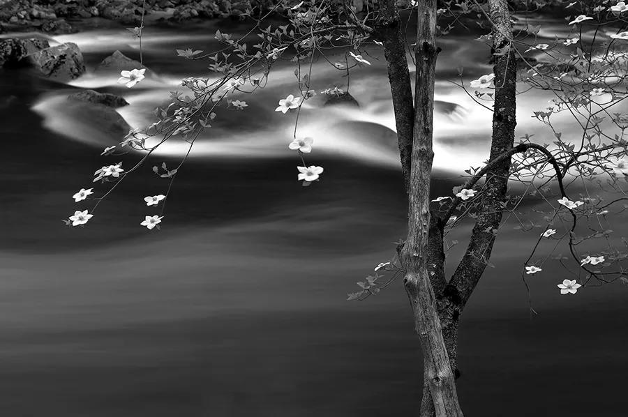 段岳衡用匠人之心打造黑白影像世界