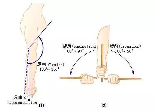 手肘康复训练示意图图片