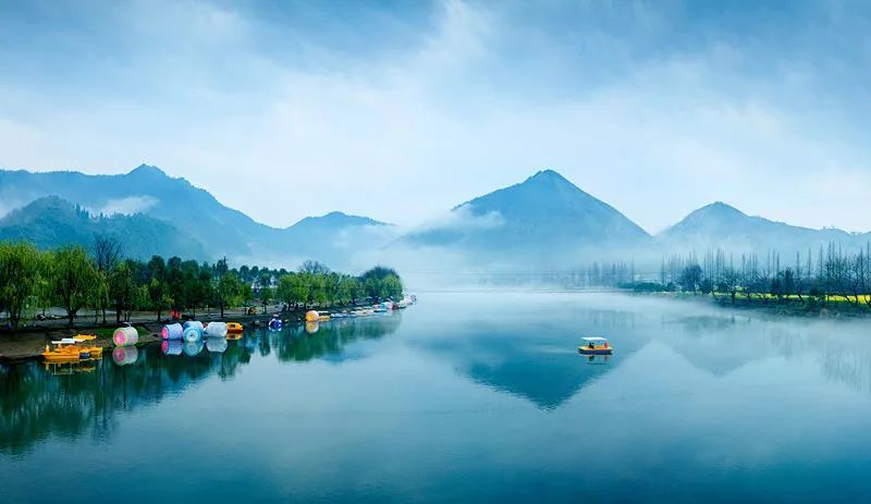 一起"森"呼吸,衢州14地入选"浙江省森林城镇"_腾讯新闻