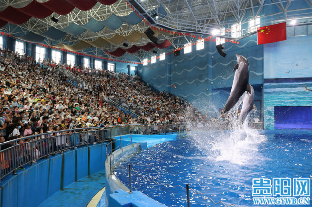 国庆长假第四天贵阳海洋馆迎来客流高峰