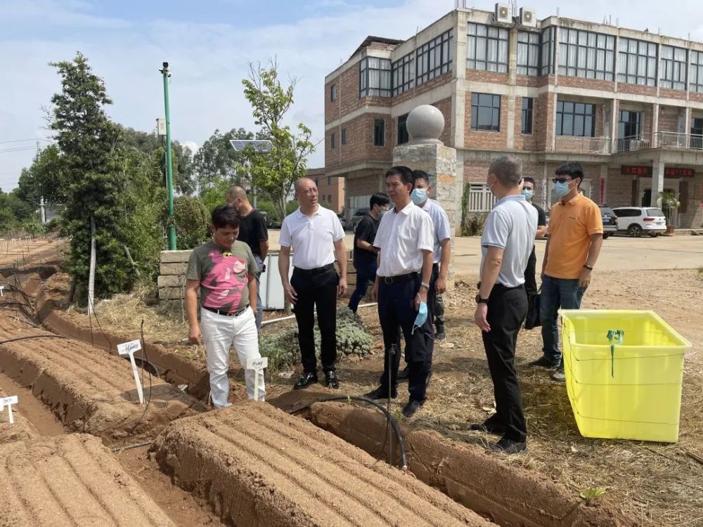 晋江市领导调研冬季农业生产及农业行业复工复产情况