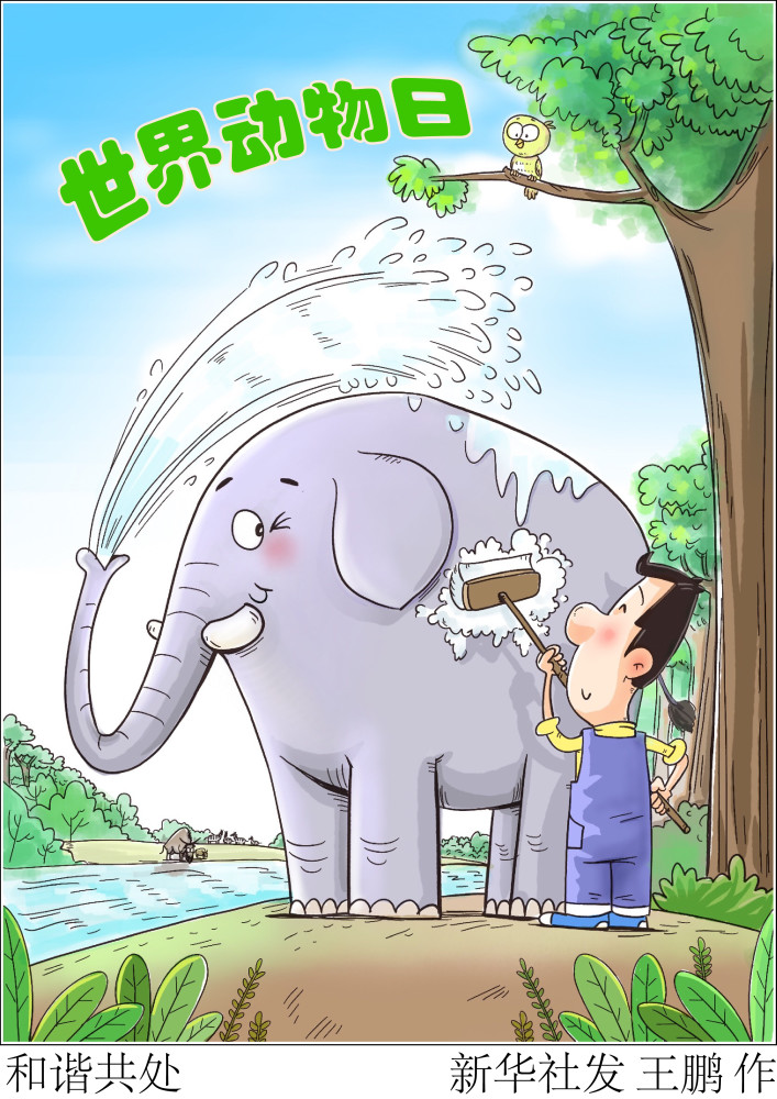 图表漫画世界动物日和谐共处