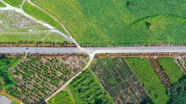 【vr全景看隆安】另一个视角看金穗生态园!|融媒体中心|民宿|隆安县