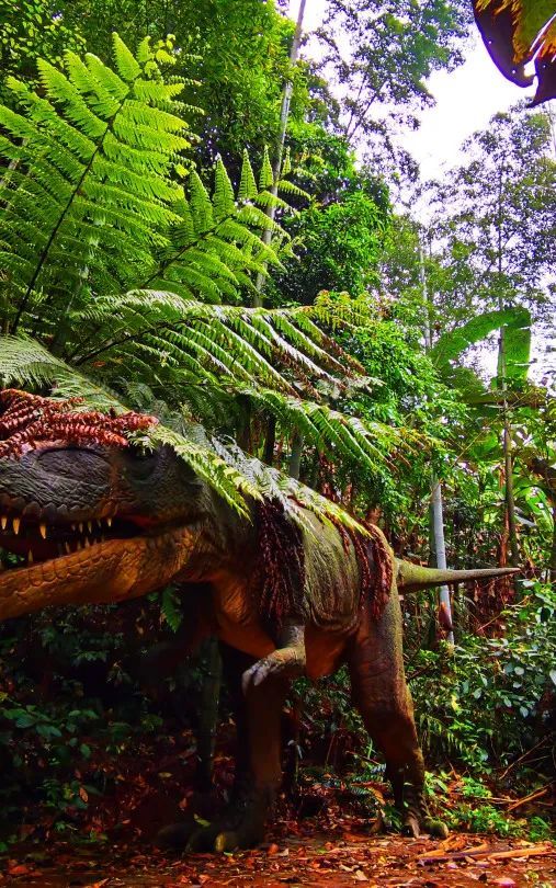 国庆打卡地城中热带雨林还是远古桫椤世界来中国侏罗纪公园开启奇妙之