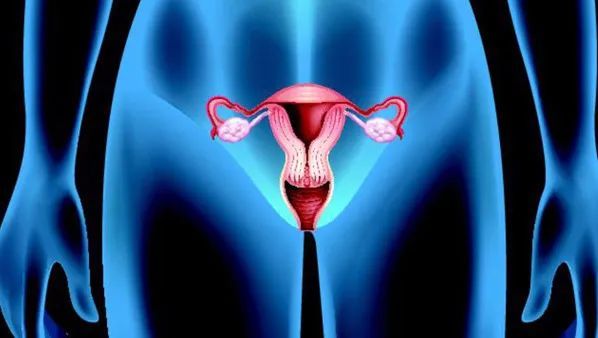 如何调理能控制子宫肌瘤的生长及预防复发?