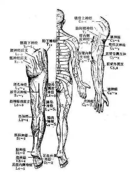 一文带你了解反射及其检查方法