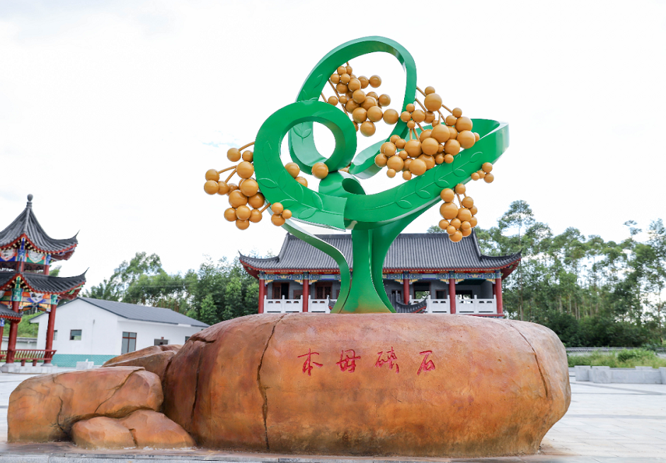 蜂蝶自来陆续进入盛花期20万亩石硖龙眼"中国石