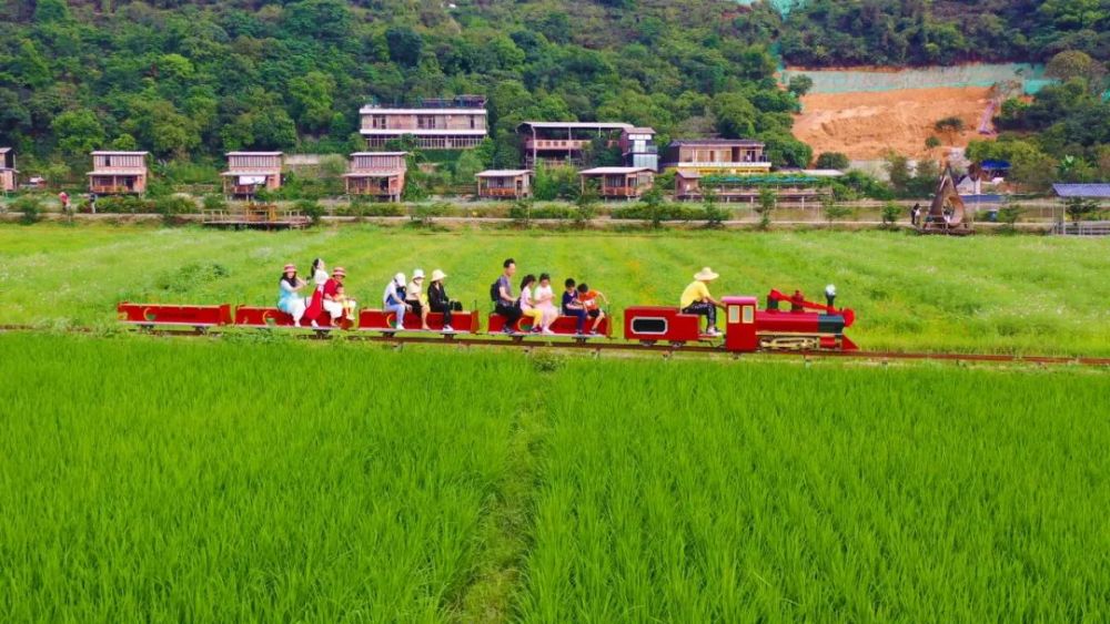 云座农场民宿运营总监苏慧权"我们云座农场的旅游特色是田园风光,而且