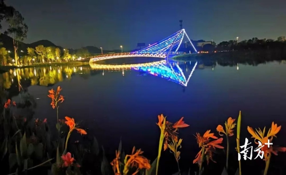 东莞黄江湿地公园火了!夜景更美!你打卡了吗?