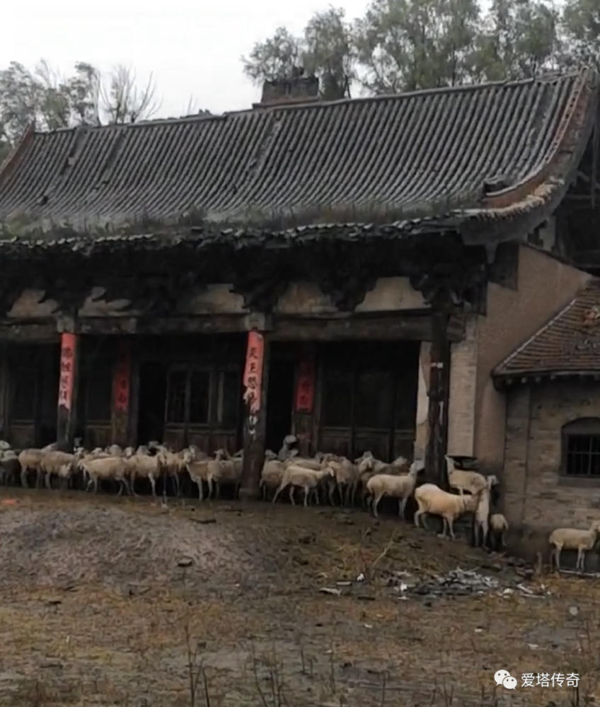 随手拍救古建(227)山西晋中市祁县丰固村普寿寺