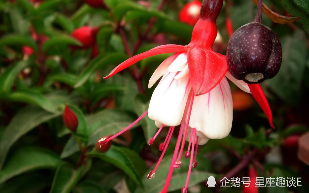 10月5日 9日星座运势 白羊深思熟虑 天蝎脚踏实地 水瓶实现目标 腾讯新闻