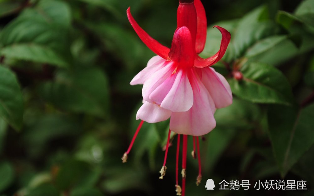 10月5日爱情运势 矛盾化解 感情加深的四大星座 腾讯新闻