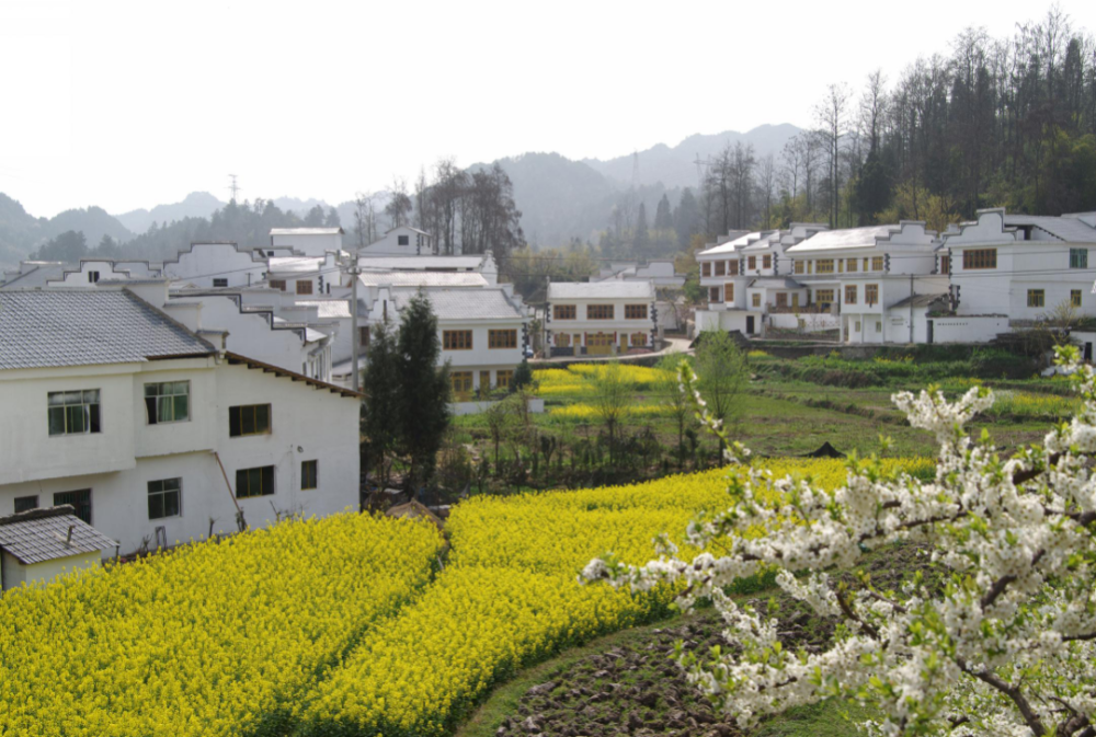 卫星视角下的美丽乡村观山湖区三屯村│青山秀水春光美
