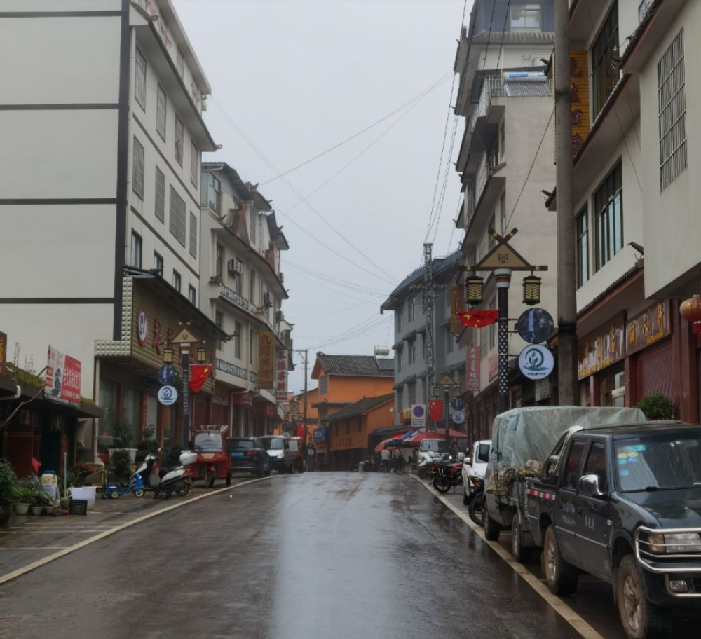 世界野生茶树王之乡镇沅县九甲镇难买茶