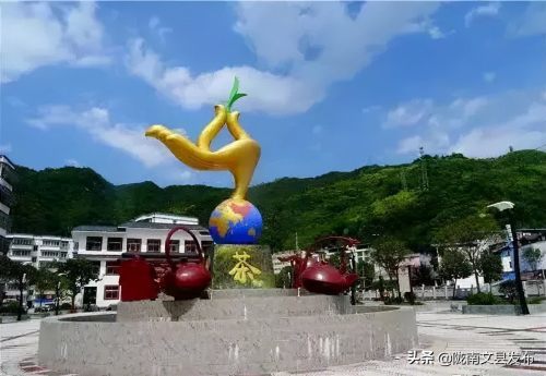 文县碧口镇石龙沟!茶茶茶