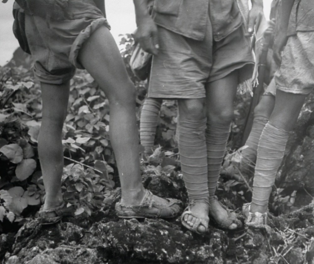 川军排长失踪60年,82岁领证才知妻子就在身边,他最后如何决定?