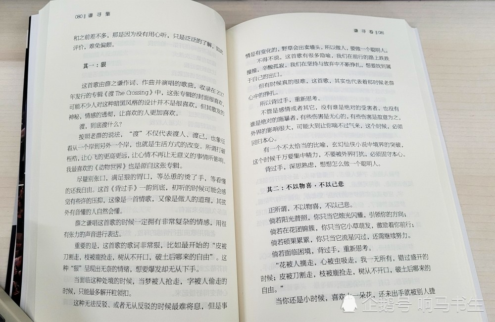 谦寻集：宝藏歌手薛之谦的音乐之路，从漫天飞雪到参天大树，让人流连忘返