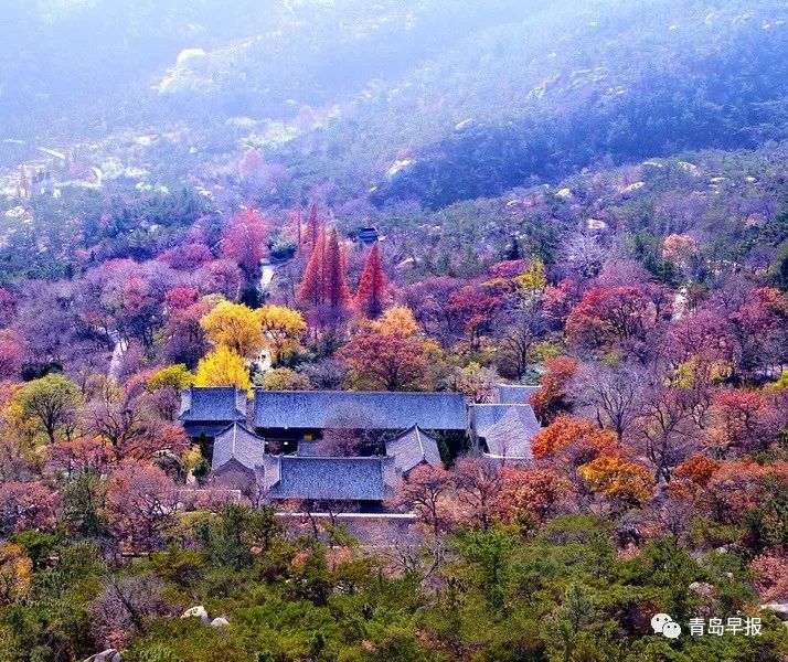 假期逛山头公园丨这座山你可能去过但一定没有看全景点