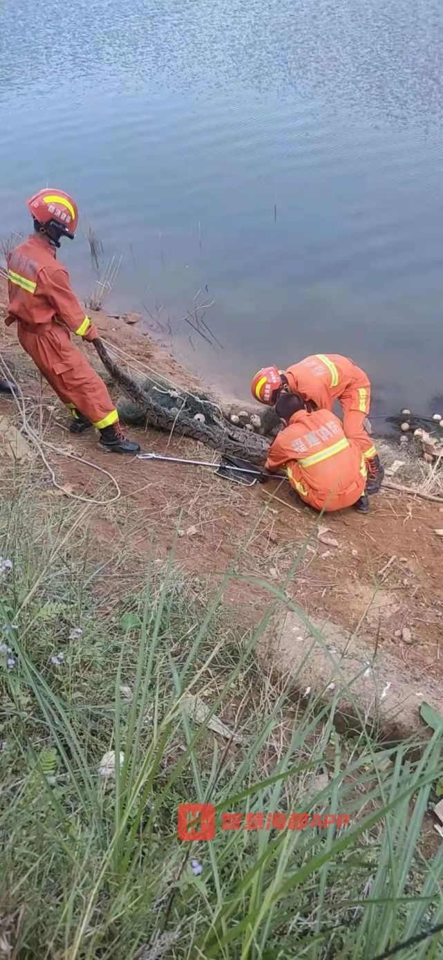 海都记者 杨江参 通讯员 徐瑞璞值班编辑 陈晓