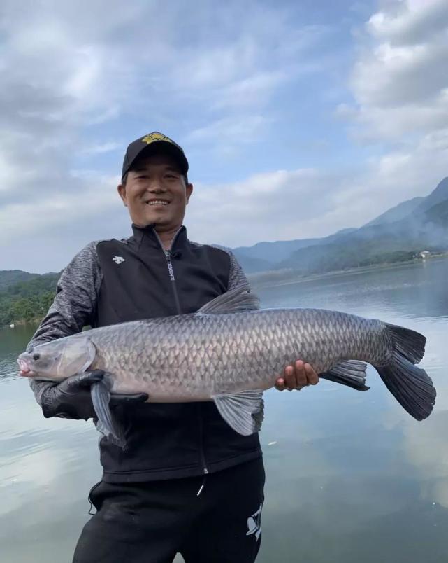 章子怡吴京要找邓刚学钓鱼娱和渔的碰撞背后又是什么原因