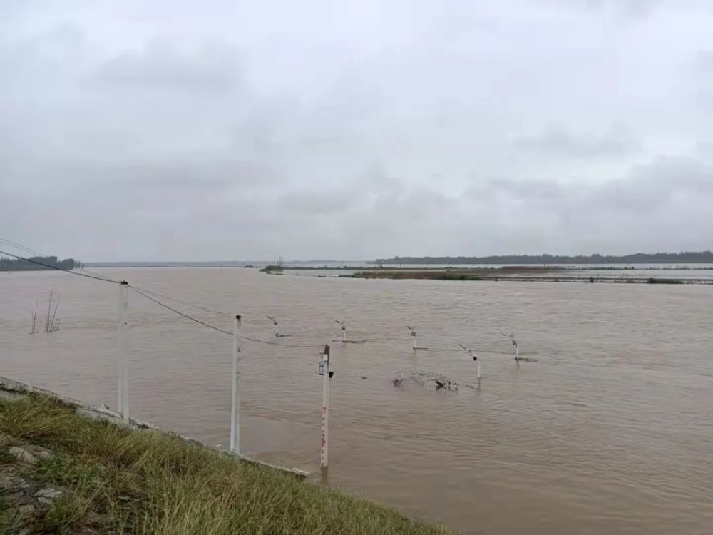 漳卫河临西段迎来1997年以来最大洪水!