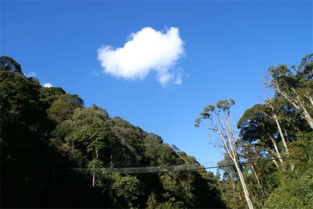 文丨田維星圖丨紅河州文旅局編輯丨謝同希審核丨李亞 李元運維 | 雲報