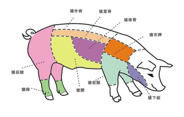 新諺語沒吃過這豬肉更沒見過廣西特色豬跑