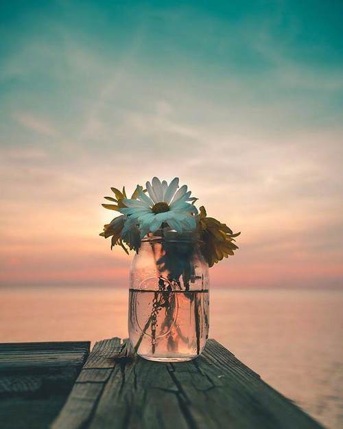 释放心情的人生感悟句句经典让人折服