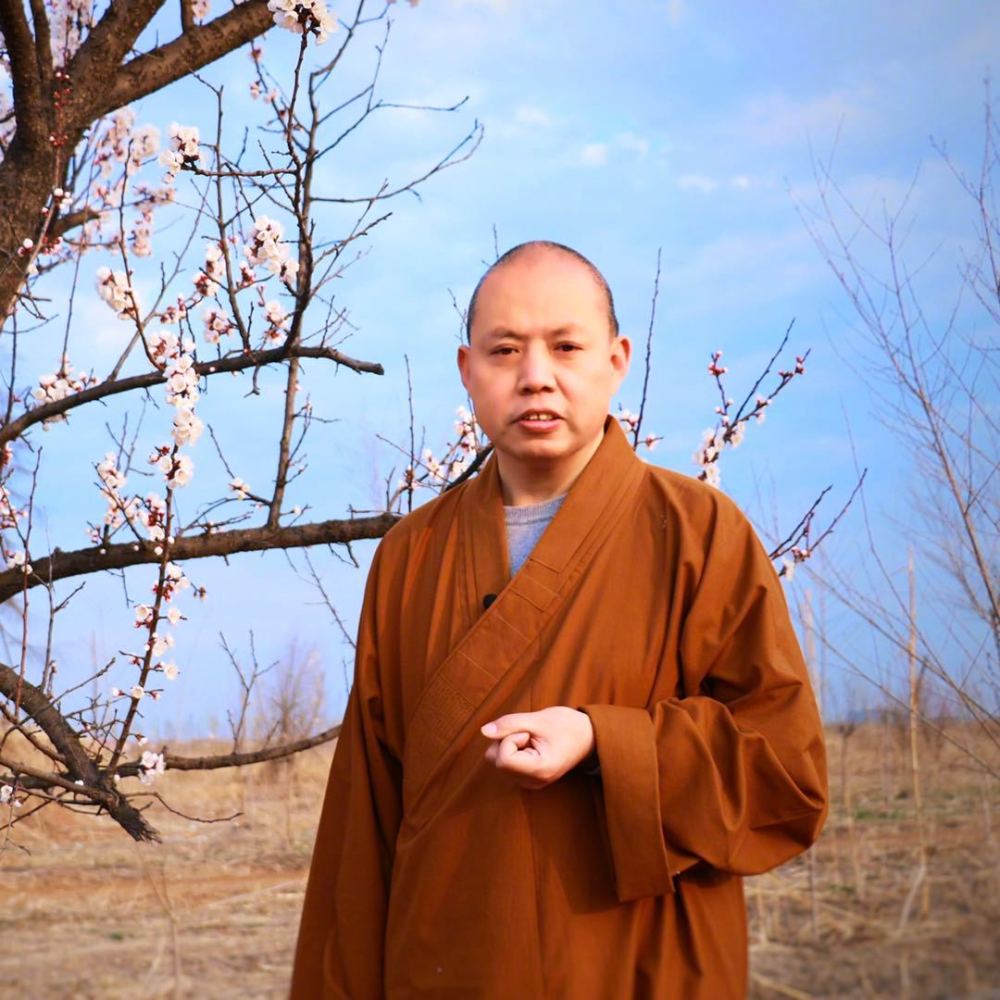 延参法师:期待的美好总在和气中