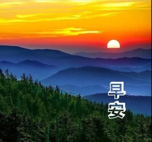 考證號是不是準考證號_考準證號怎么查詢_怎么查46級準考證號