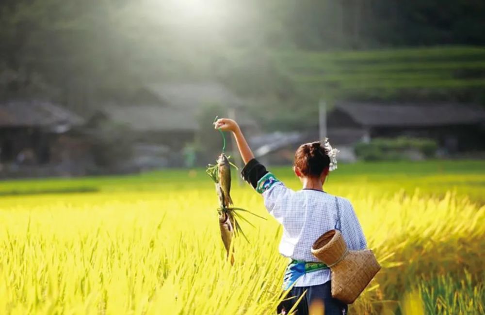 daoxiang yufei金秋十月,秋高气爽.