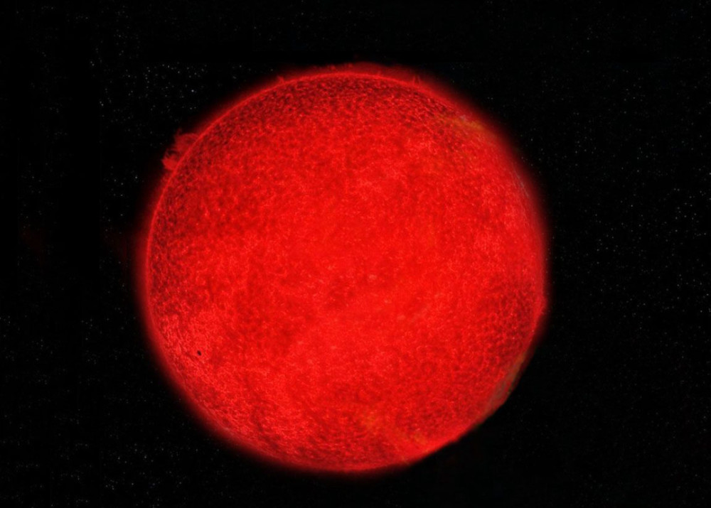 同时因为红矮星内部的核聚变速度比较慢,寿命也就比其他恒星要长得多.