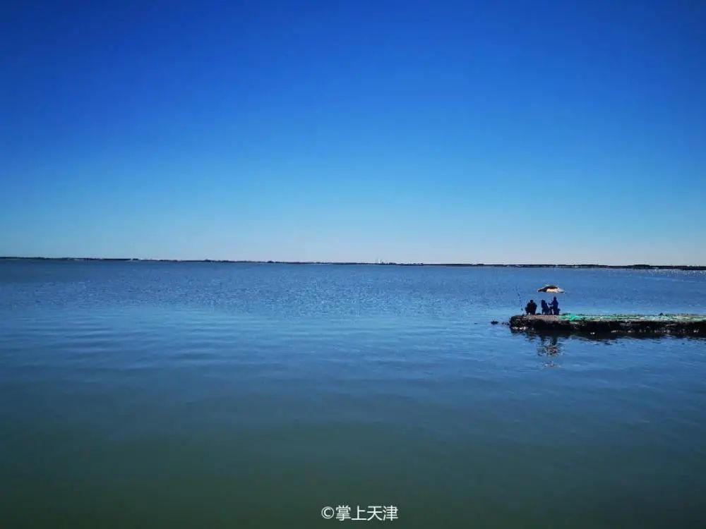 免费免费天津7处小众看海点景色绝了