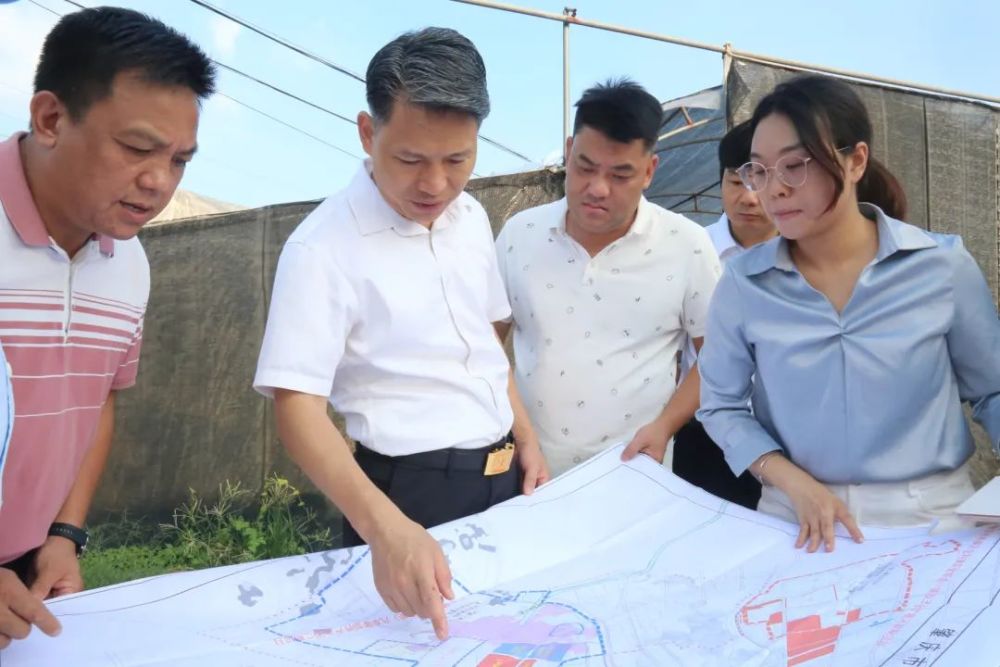 区委书记陈德培到金利镇调研门窗产业城项目以赛龙舟精神加快推进项目