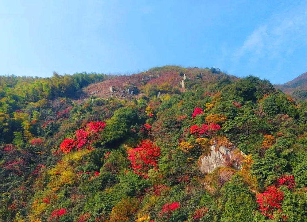 临安白水涧景区位于西湖区的杭州西山国家森林公园是杭州城区重要的