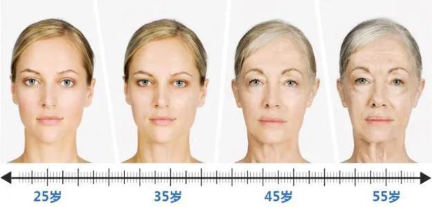 人从多大年龄开始衰老衰老加速期是真的吗
