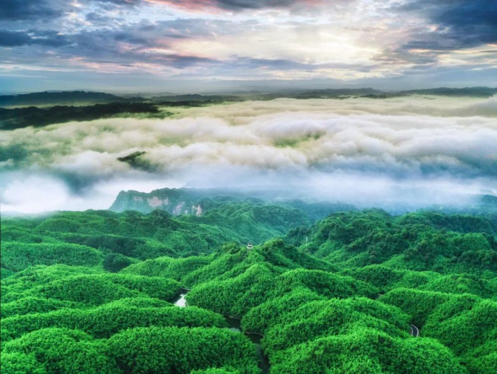 冬游乐山碧绿波逶迤沐川行天然氧吧不负盛名