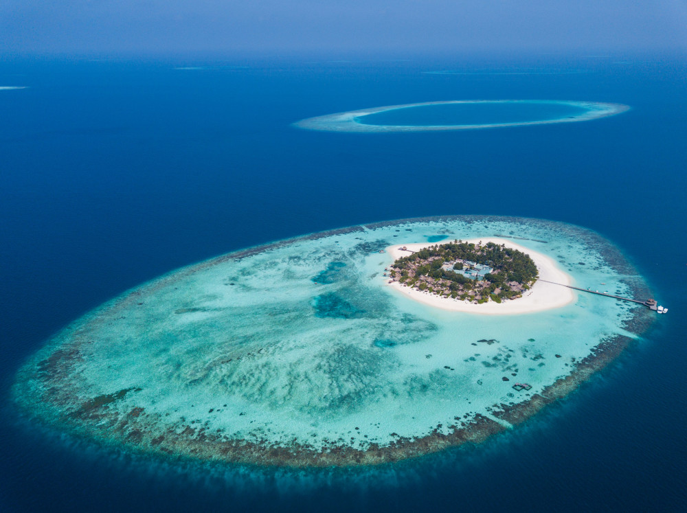 10年间全球逾万平方公里珊瑚礁消亡